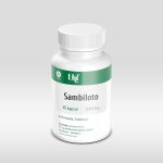 Sambiloto obat diabetes